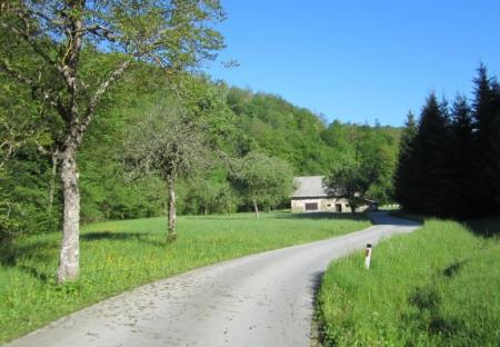 Tudi OŠ Dragotina Ketteja se je vključila v vseslovensko akcijo čiščenja 20